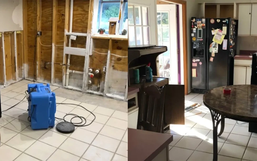 water damage mold job in bradenton