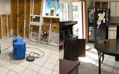 A Water Damage & Mold Job In Bradenton