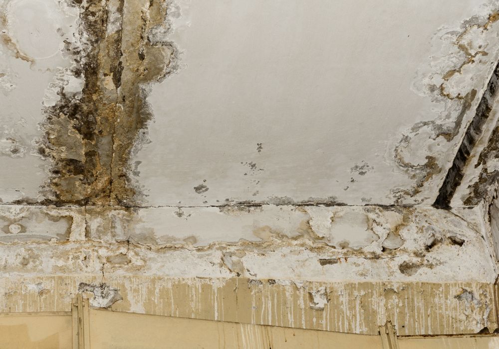 leaking roof - leak detection