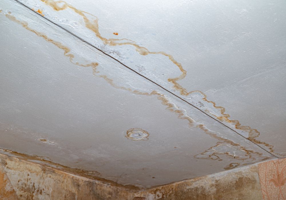 damaged ceiling - leak detection