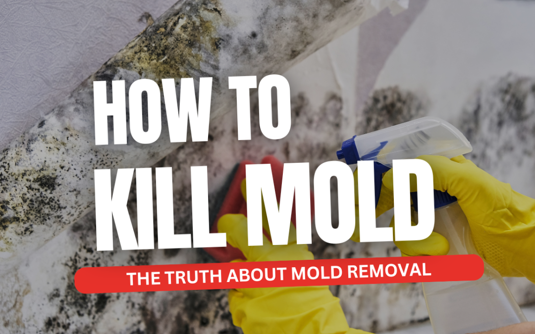 How to Kill Mold: The Truth About Mold Removal
