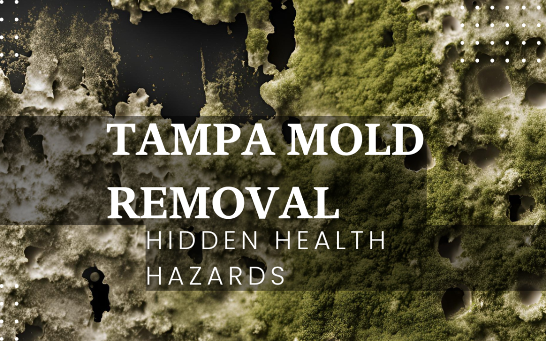 Tampa Mold Removal: Hidden Health Hazards