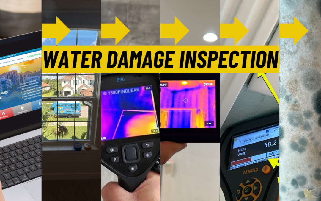Water Damage Inspection in Saint Petersburg