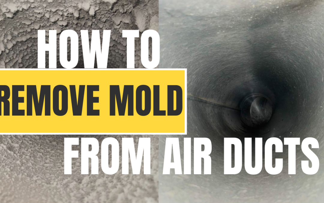 How to Remove Mold from Air Ducts