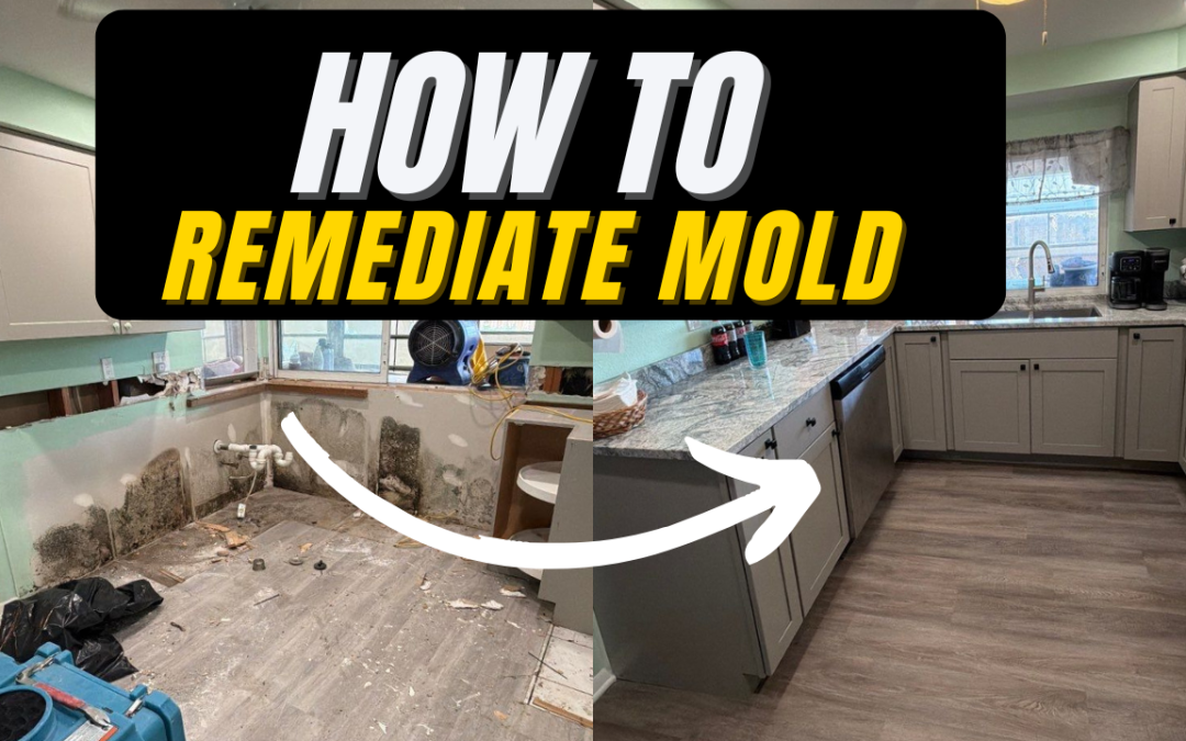 How to Remediate Mold