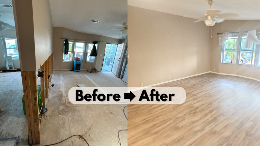 Expert Mold and Water Damage Remediation in Bradenton