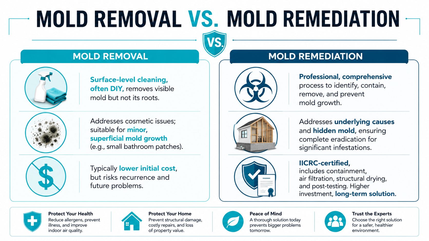 A comparison infographic detailing the differences between surface-level mold removal and professional comprehensive mold remediation processes.