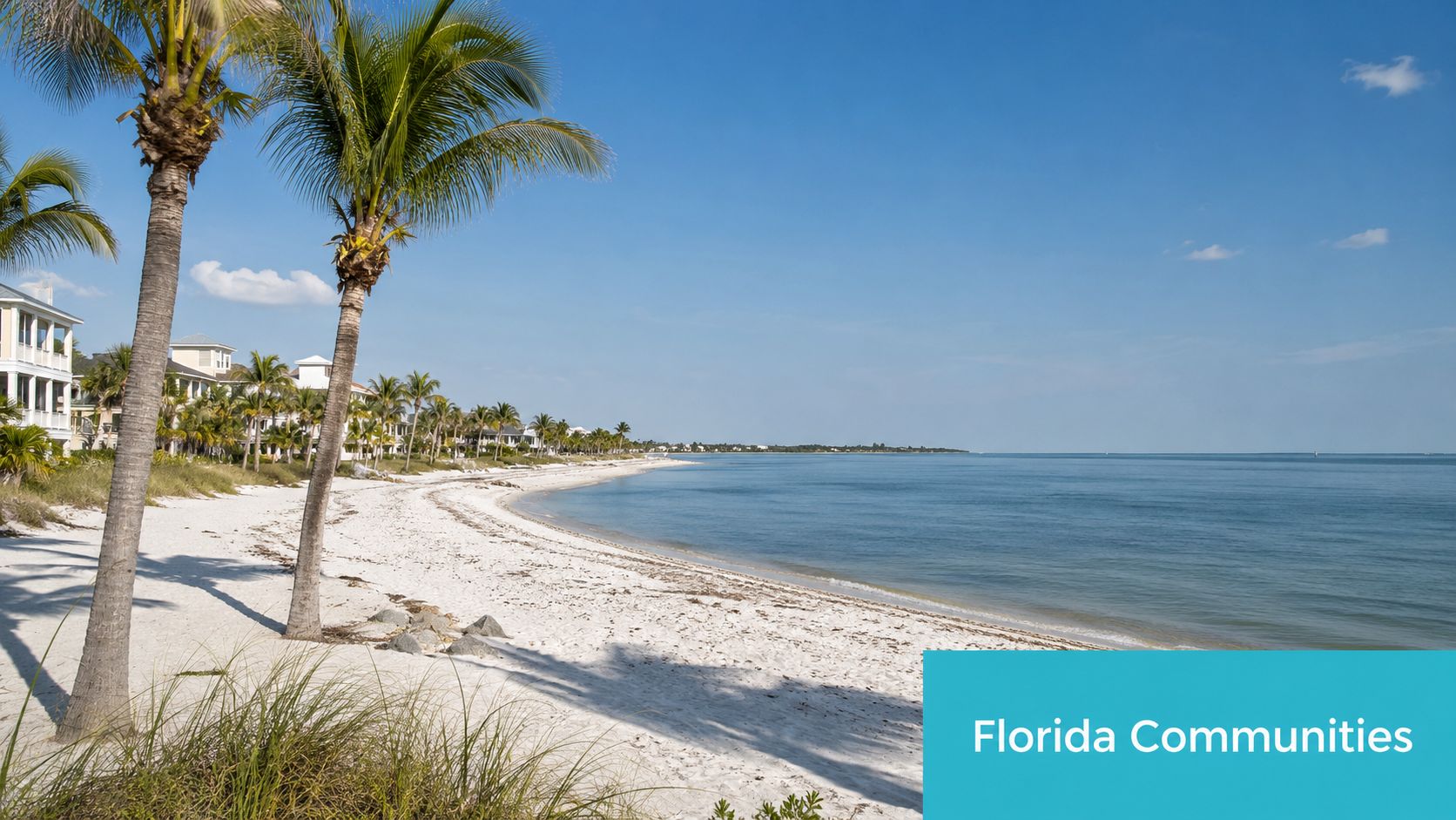 A tranquil Florida beach with white sand, palm trees, and waterfront homes under a clear blue sky.
