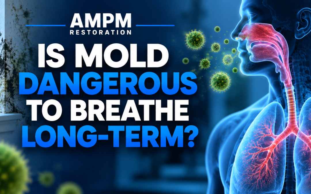 Is Mold Dangerous to Breathe Long-Term: Health Risks