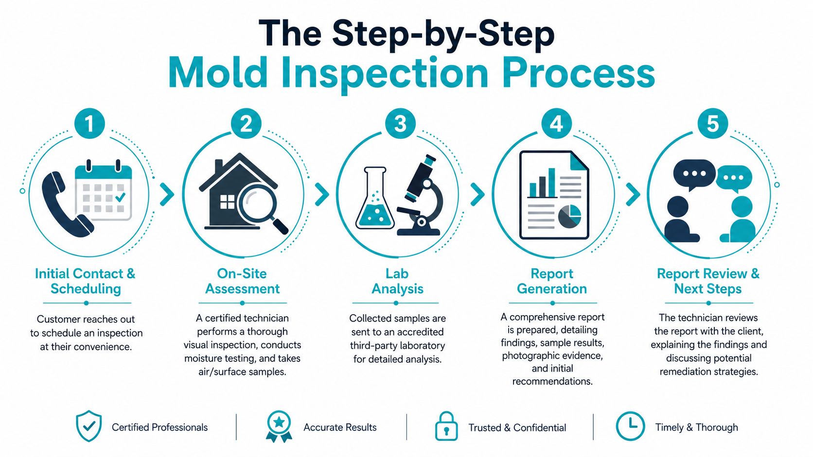 A 5-step infographic explaining the process for professional mold inspection from scheduling to final report review.