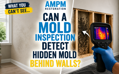 Can a Mold Inspection Detect Hidden Mold Behind Walls?