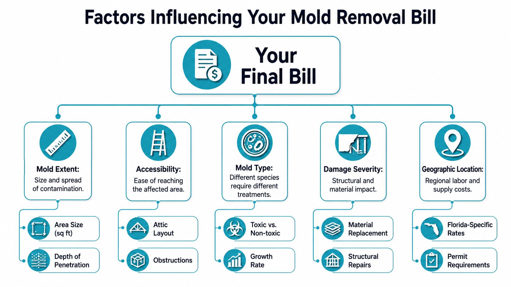 An infographic showing the various factors that influence the final cost of professional attic mold removal services.