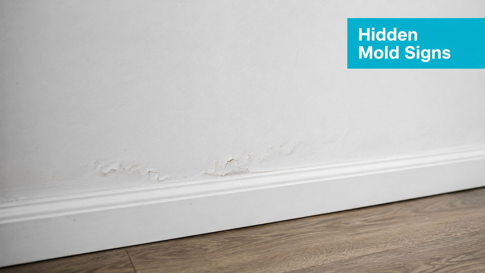 A close-up view of peeling paint on a white wall above a baseboard indicating potential moisture damage.