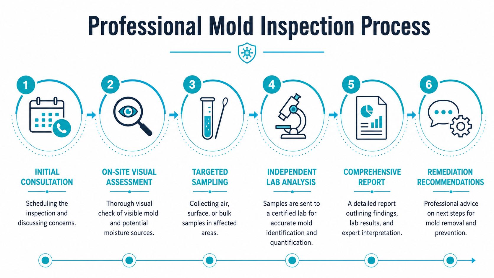 A six-step infographic illustrating the professional mold inspection process from initial consultation to final remediation recommendations.