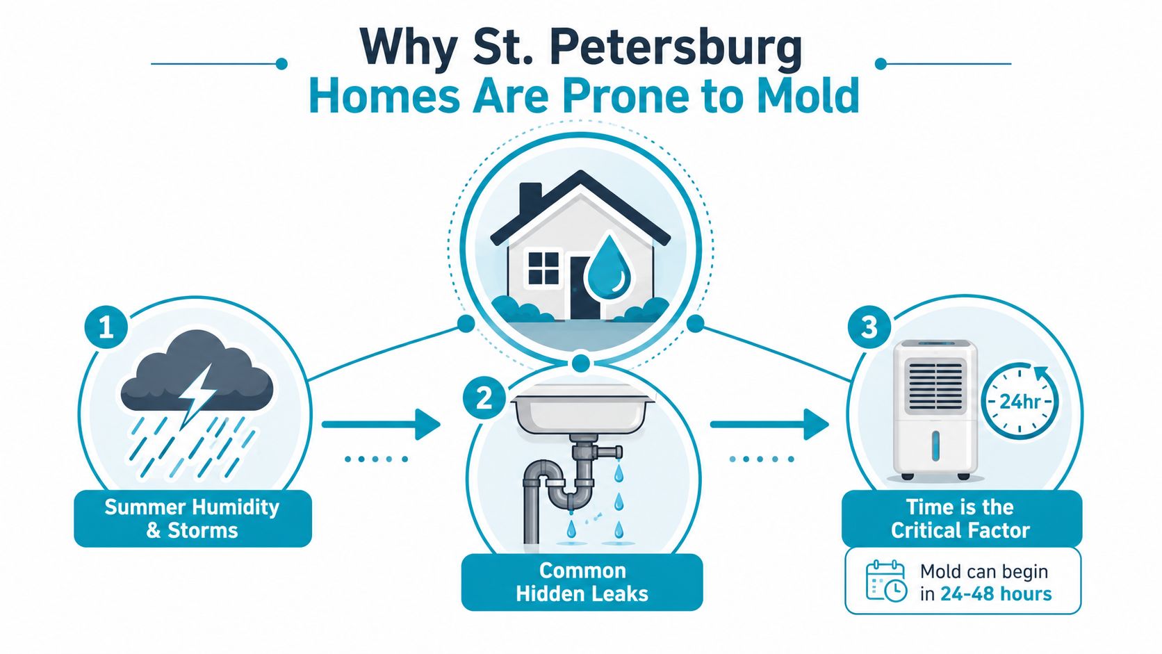 An infographic showing three main causes of mold growth in St. Petersburg homes, including humidity and leaks.