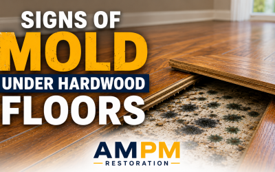 Signs of Mold Under Hardwood Floors: Detection Guide