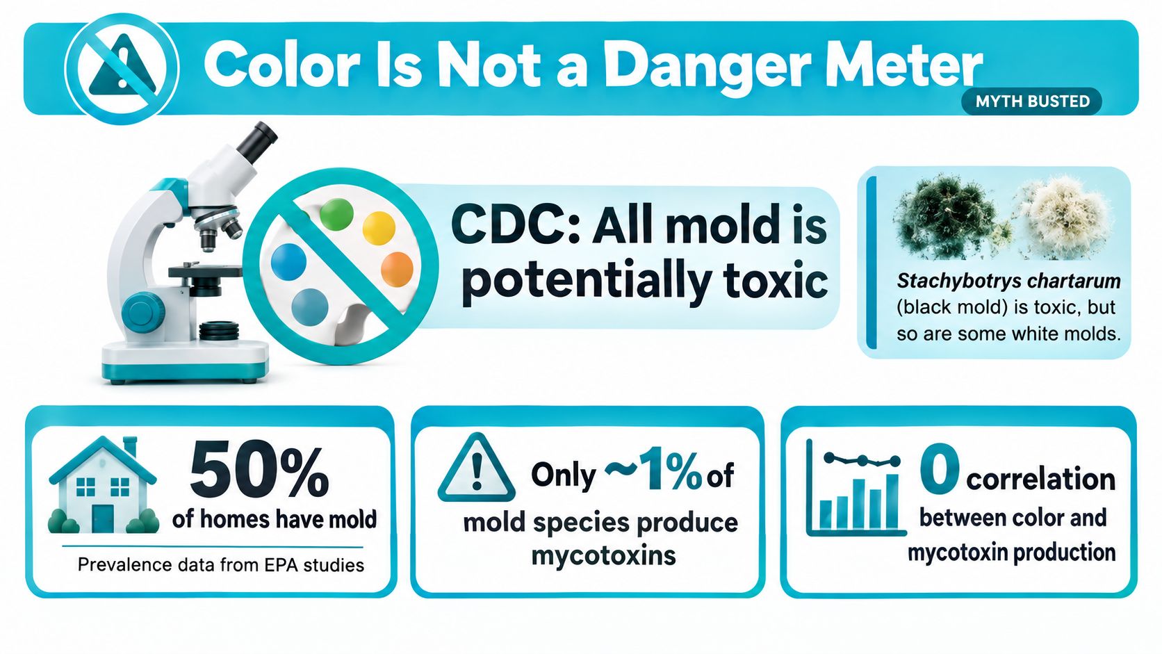 An infographic titled Color Is Not a Danger Meter, debunking myths about mold toxicity and color.