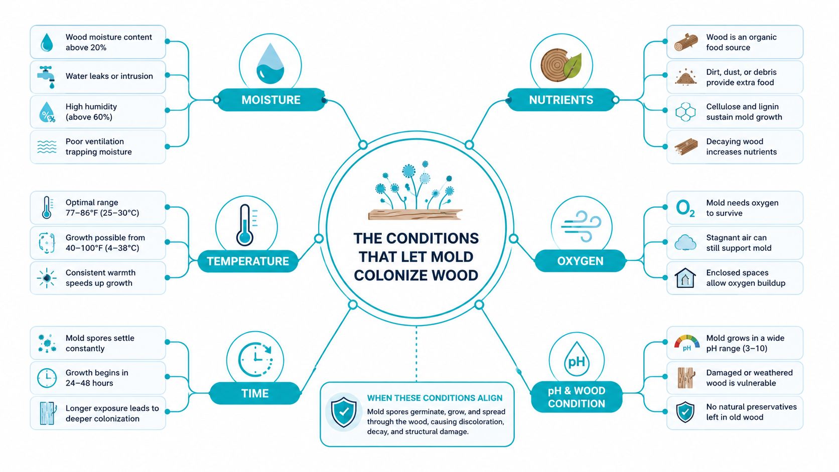 A mind map infographic illustrating the key environmental conditions required for mold to colonize and grow on wood.