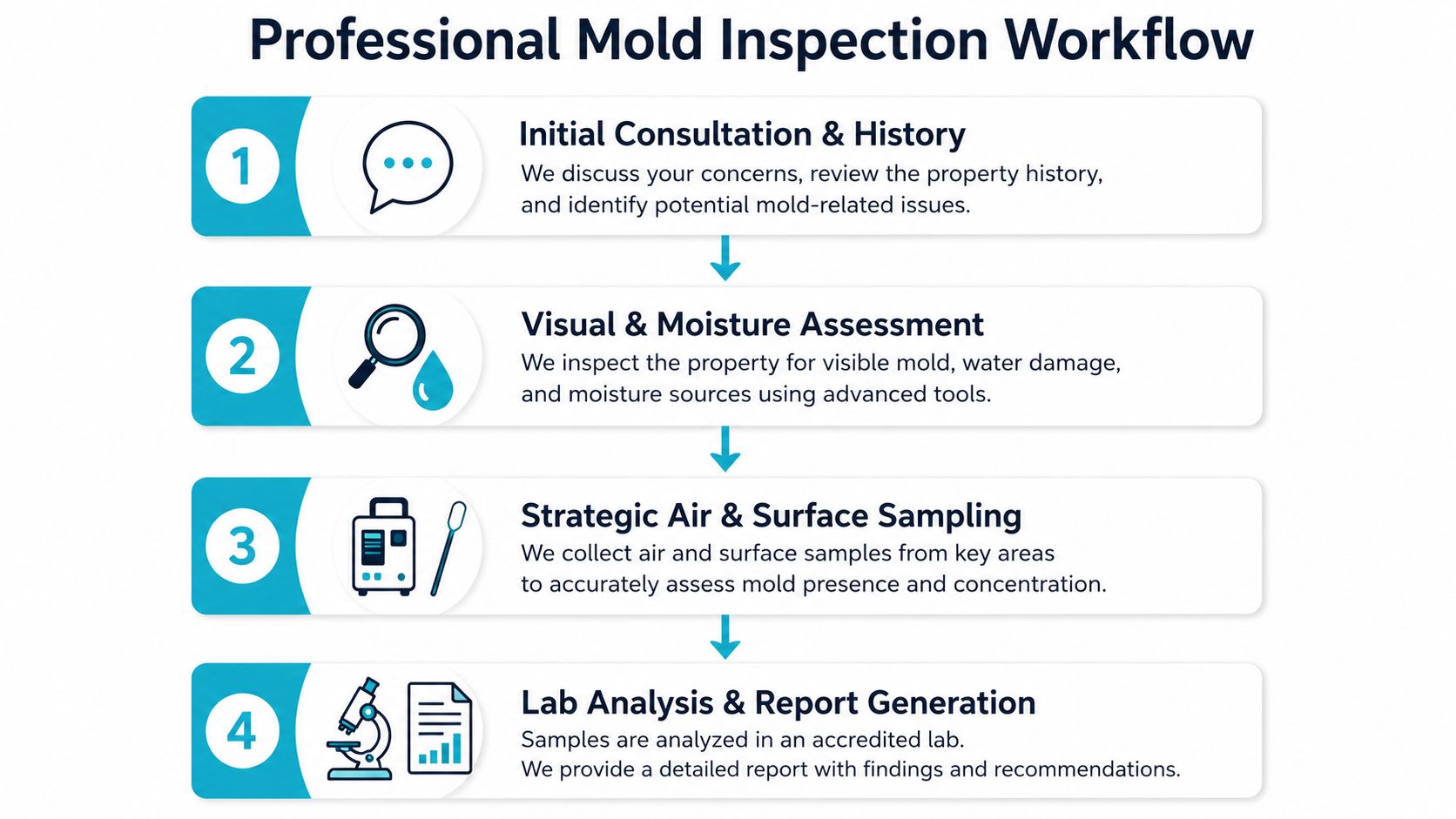 A four-step infographic showing the professional mold inspection workflow, from initial consultation to final lab report generation.
