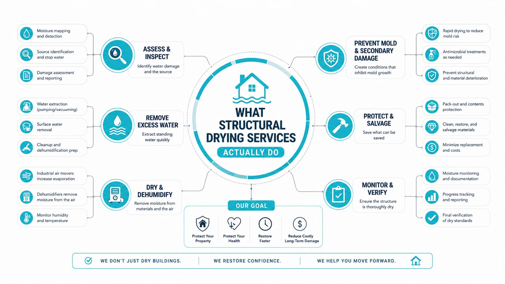 An infographic detailing the comprehensive steps and processes involved in professional structural water damage drying services.