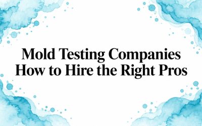 Mold Testing Companies How to Hire the Right Pros