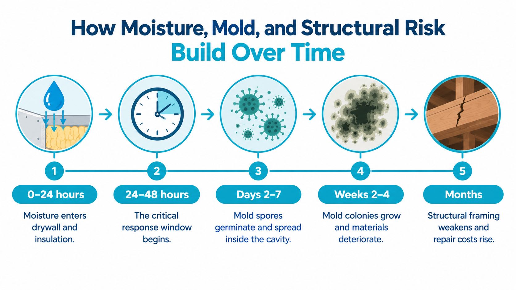 A five-step infographic showing how moisture causes mold growth and structural damage over time.