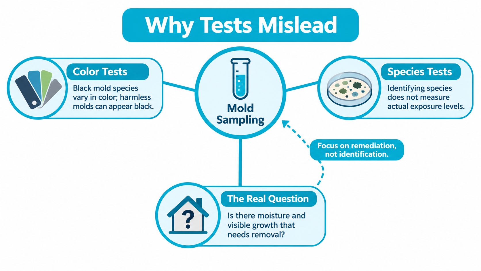 An infographic explaining why professional mold sampling tests are often misleading regarding indoor environmental safety assessments.