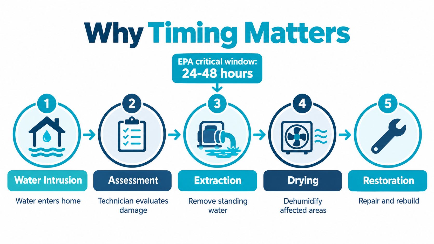 A flow chart illustrating five steps of water damage remediation with a 24-48 hour critical window.