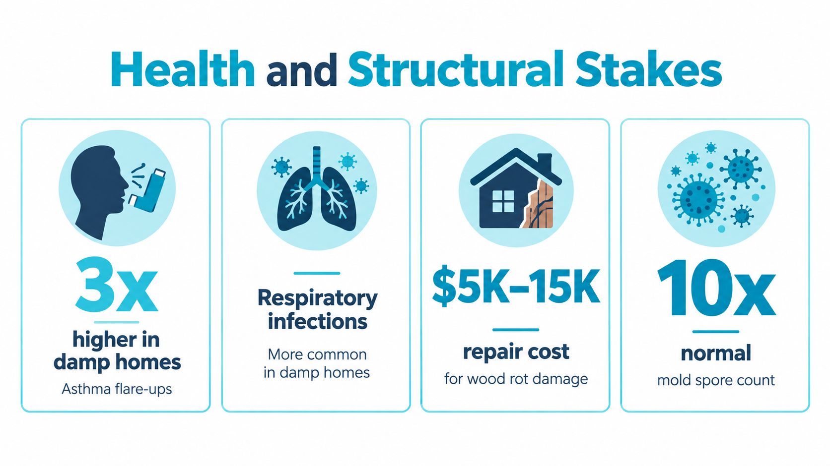 An infographic highlighting the health risks and financial costs associated with dampness, mold, and structural damage in homes.