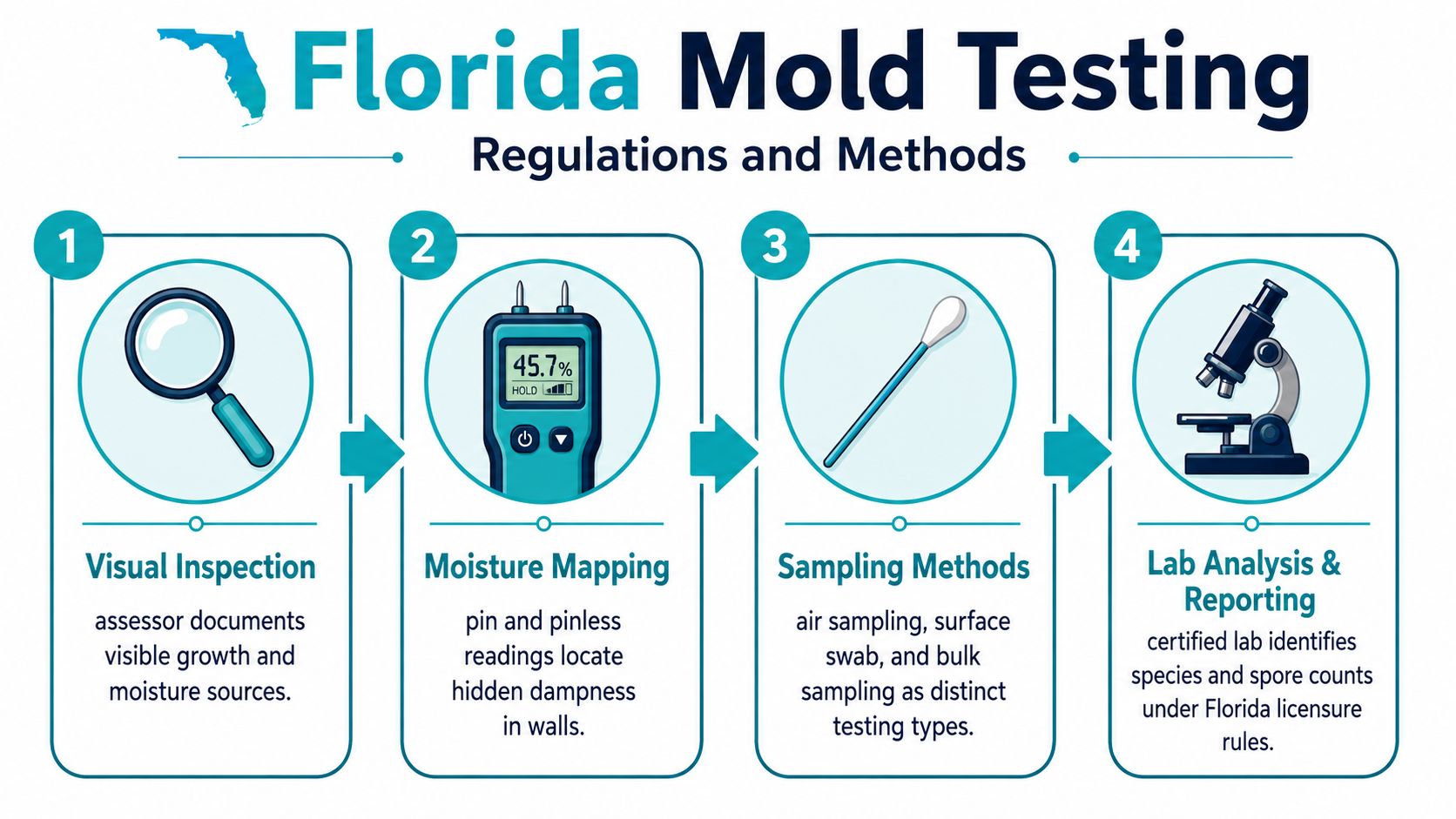 A four-step infographic illustrating the professional Florida mold testing process, including visual inspection, moisture mapping, sampling, and analysis.